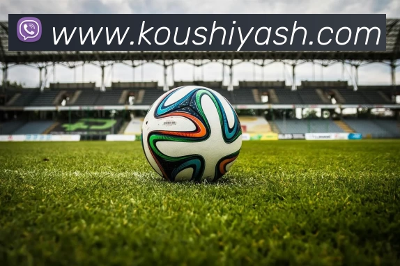 开博体育,开博体育官网,开博体育官方网站平台生态图